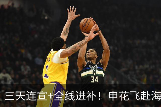 三天连宣+全线进补！申花飞赴海口启动新赛季